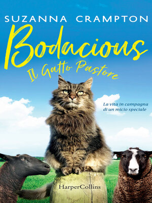 cover image of Bodacious--Il gatto pastore